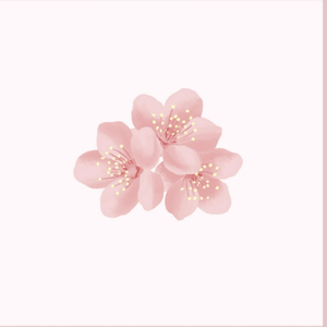 张子枫疯狂做爰高潮
