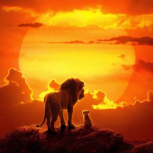 张子枫疯狂做爰高潮
